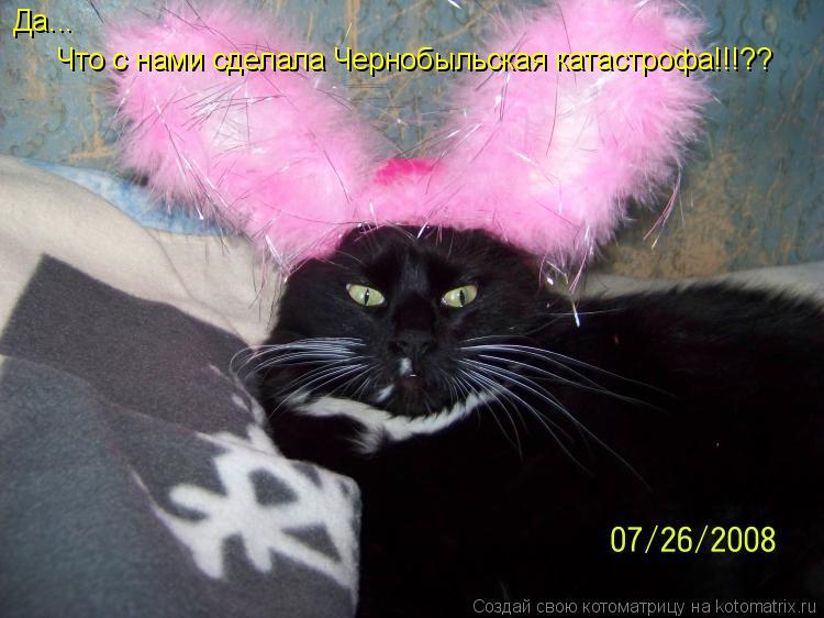 Да... Что с нами сделала Чернобыльская катастрофа!!!??... Котоматрица: Да... Что с нами сделала Чернобыльская катастрофа!!!??