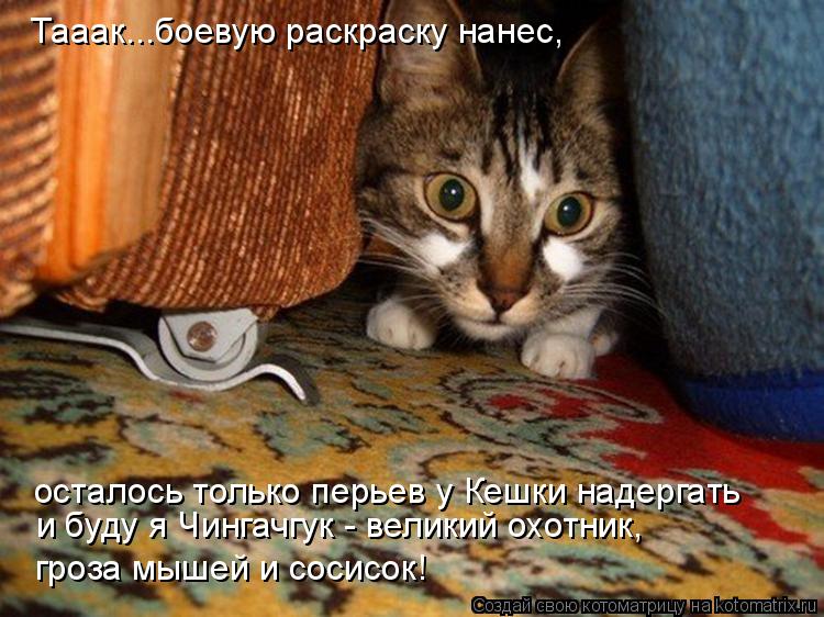 Тааак...боевую раскраску нанес, осталось только перьев у Кешки надергать и буду я Чингачгук - великий... Котоматрица: Тааак...боевую раскраску нанес, осталось только перьев у Кешки надергать и буду я Чингачгук - великий охотник, гроза мышей и сосисок!