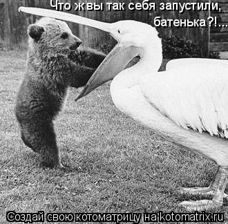 Что ж вы так себя запустили, батенька?!...... Котоматрица: Что ж вы так себя запустили, батенька?!...