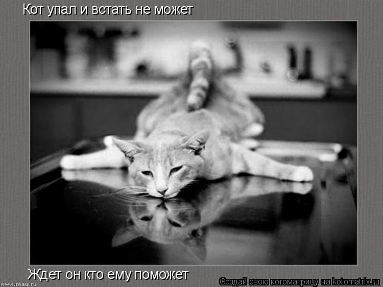 Кот упал и встать не может Ждет он кто ему поможет... Котоматрица: Кот упал и встать не может Ждет он кто ему поможет