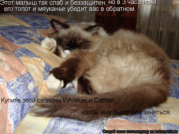 Этот малыш так слаб и беззащитен, его топот и мяуканье убедит вас в обратном. но в 3 часа ночи Купи... Котоматрица: Этот малыш так слаб и беззащитен, его топот и мяуканье убедит вас в обратном. но в 3 часа ночи Купите этой сволочи Whiskas и Catsan, чтобы ему был