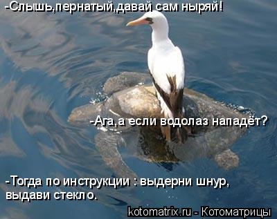 -Слышь,пернатый,давай сам ныряй! -Ага,а если водолаз нападёт? -Тогда по инструкции : выдерни шнур, вы... Котоматрица: -Слышь,пернатый,давай сам ныряй! -Ага,а если водолаз нападёт? -Тогда по инструкции : выдерни шнур, выдави стекло.