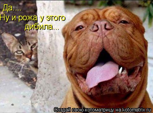 Да.... Ну и рожа у этого дибила...... Котоматрица: Да.... Ну и рожа у этого дибила...