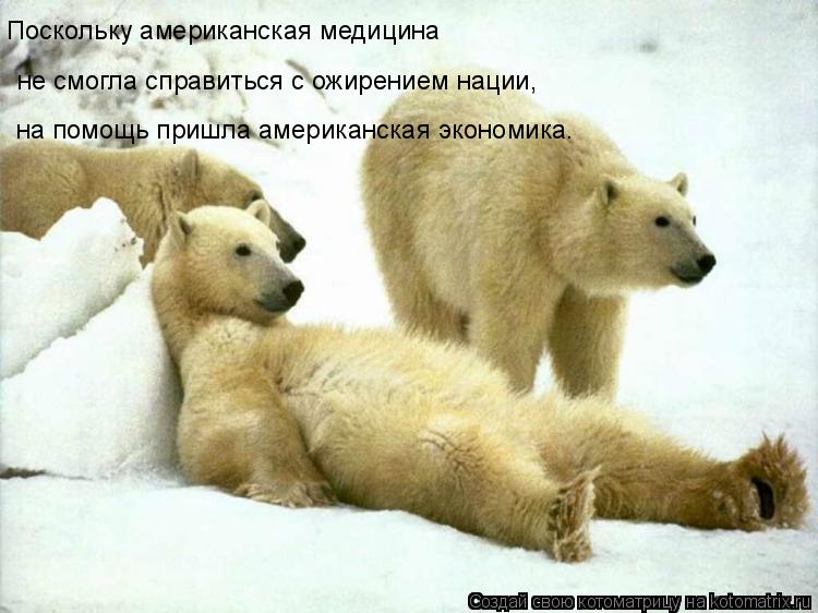 Поскольку американская медицина не смогла справиться с ожирением нации, на помощь пришла американск... Котоматрица: Поскольку американская медицина не смогла справиться с ожирением нации, на помощь пришла американская экономика.
