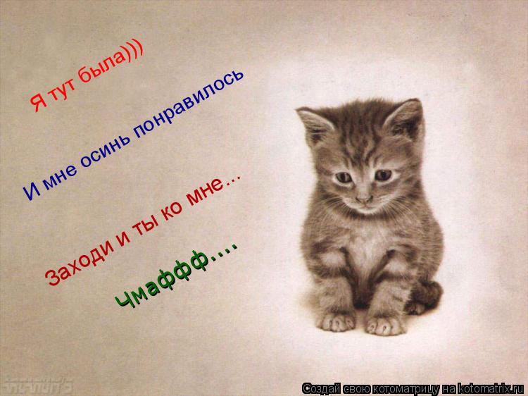 Я тут была))) И мне осинь понравилось Заходи и ты ко мне... Чмаффф....... Котоматрица: Я тут была))) И мне осинь понравилось Заходи и ты ко мне... Чмаффф....