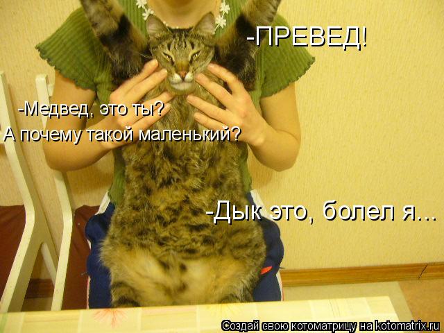 ПРЕВЕ -ПРЕВЕД! -Медвед, это ты? А почему такой маленький? -Дык это, болел я...... Котоматрица: ПРЕВЕ -ПРЕВЕД! -Медвед, это ты? А почему такой маленький? -Дык это, болел я...