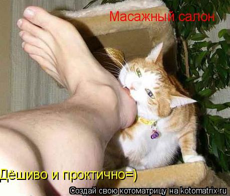 Масажный салон Дёшиво и проктично=)... Котоматрица: Масажный салон Дёшиво и проктично=)