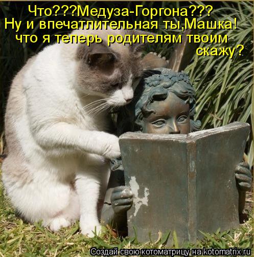 Что???Медуза-Горгона??? Ну и впечатлительная ты,Машка! что я теперь родителям твоим скажу?... Котоматрица: Что???Медуза-Горгона??? Ну и впечатлительная ты,Машка! что я теперь родителям твоим скажу?