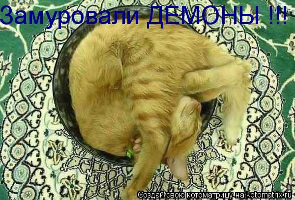 Замуровали ДЕМОНЫ !!!... Котоматрица: Замуровали ДЕМОНЫ !!!