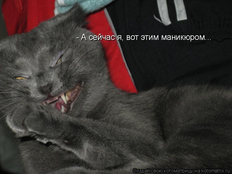 - А сейчас я, вот этим маникюром...... Котоматрица: - А сейчас я, вот этим маникюром...