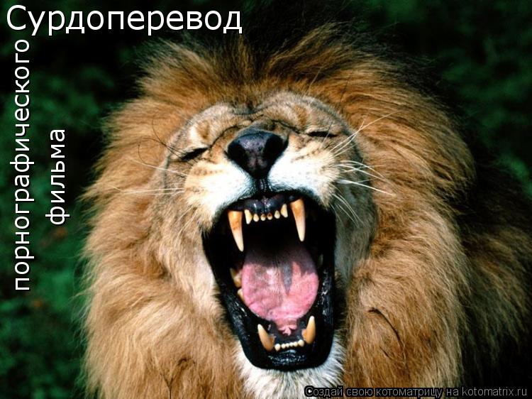 порнографического фильма Сурдоперевод... Котоматрица: порнографического фильма Сурдоперевод