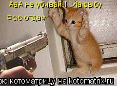 Котоматрица: АаА не убивай!!! Йа рыбу Фсю отдам