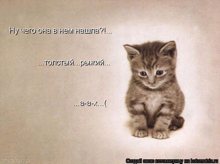 Ну чего она в нем нашла?!... ...толстый...рыжий... ...а-а-х...(... Котоматрица: Ну чего она в нем нашла?!... ...толстый...рыжий... ...а-а-х...(