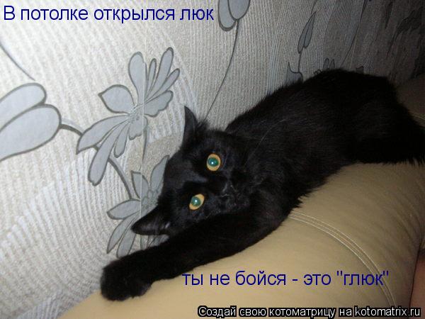 В потолке открылся люк ты не бойся - это "глюк"... Котоматрица: В потолке открылся люк ты не бойся - это "глюк"