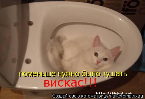 поменьше нужно было кушать вискас!!!... Котоматрица: поменьше нужно было кушать вискас!!!