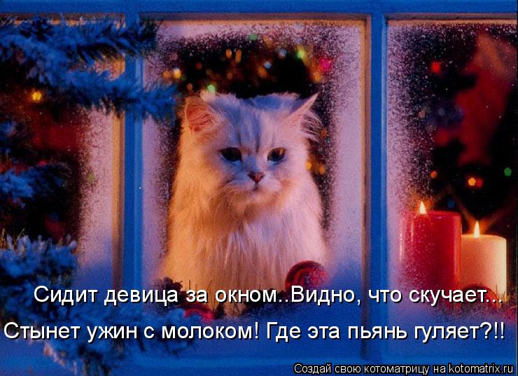 Котоматрица: Сидит девица за окном..Видно, что скучает... Стынет ужин с молоком! Где эта пьянь гуляет?!!