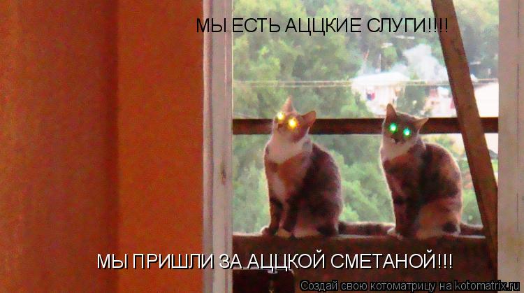 МЫ ЕСТЬ АЦЦКИЕ СЛУГИ!!!! МЫ ПРИШЛИ ЗА АЦЦКОЙ СМЕТАНОЙ!!!... Котоматрица: МЫ ЕСТЬ АЦЦКИЕ СЛУГИ!!!! МЫ ПРИШЛИ ЗА АЦЦКОЙ СМЕТАНОЙ!!!