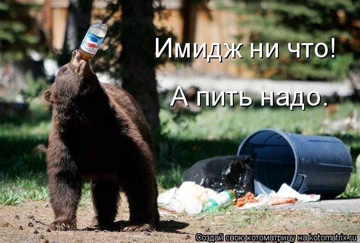 Имидж ни что! А пить надо.... Котоматрица: Имидж ни что! А пить надо.