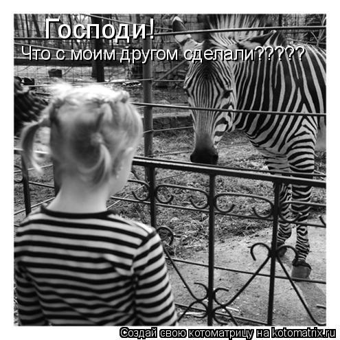 Господи! Что с моим другом сделали?????... Котоматрица: Господи! Что с моим другом сделали?????