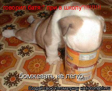 бомжевать не легко говорил батя:" при в школу"!!!!!!!!!... Котоматрица: бомжевать не легко говорил батя:" при в школу"!!!!!!!!!