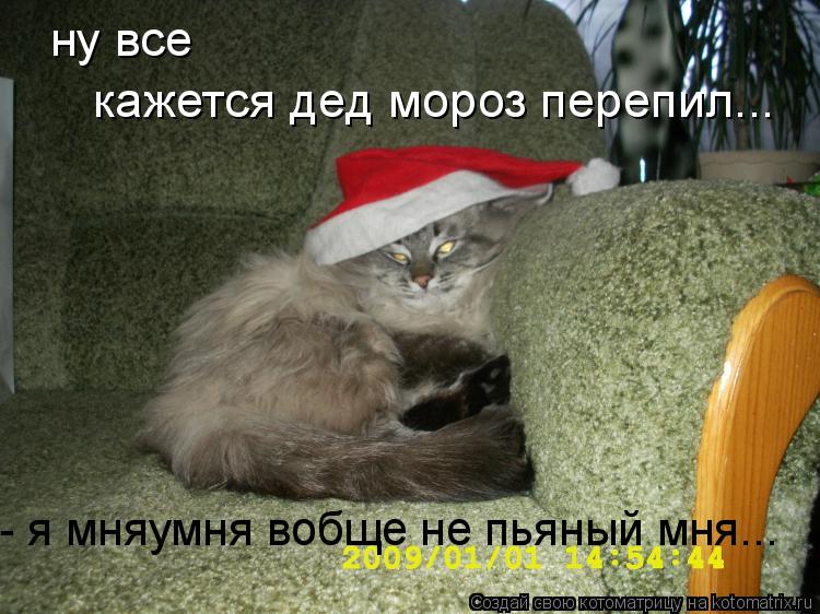 ну все кажется дед мороз перепил... - я мняумня вобще не пьяный мня...... Котоматрица: ну все кажется дед мороз перепил... - я мняумня вобще не пьяный мня...