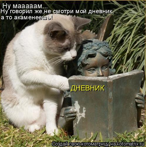 ДНЕВНИК Ну мааааам... а то акаменеешь! Ну говорил же,не смотри мой дневник,... Котоматрица: ДНЕВНИК Ну мааааам... а то акаменеешь! Ну говорил же,не смотри мой дневник,