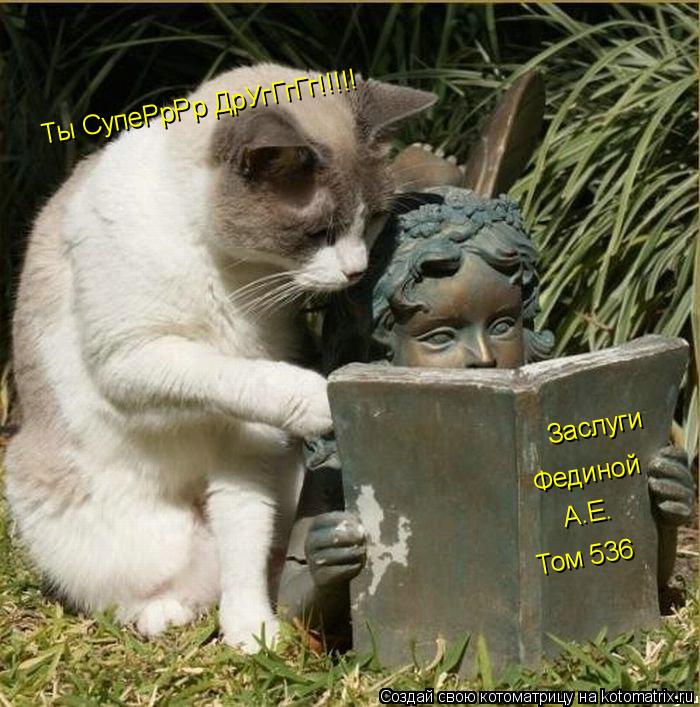Заслуги Фединой А.Е. Том 536 Ты СупеРрРр ДрУгГгГг!!!!!... Котоматрица: Заслуги Фединой А.Е. Том 536 Ты СупеРрРр ДрУгГгГг!!!!!