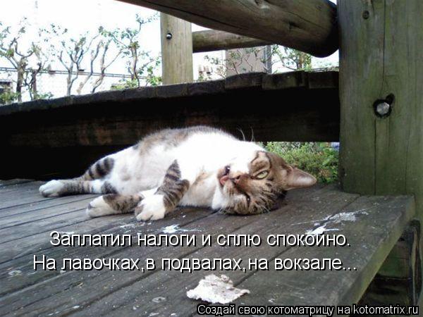 Заплатил налоги и сплю спокойно. На лавочках,в подвалах,на вокзале...... Котоматрица: Заплатил налоги и сплю спокойно. На лавочках,в подвалах,на вокзале...