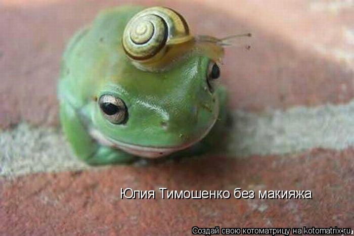 Котоматрица: Юлия Тимошенко без макияжа