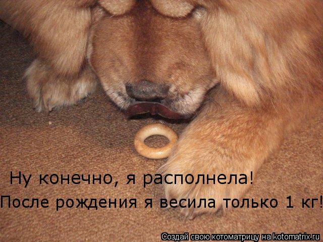 Ну конечно, я располнела! После рождения я весила только 1 кг!... Котоматрица: Ну конечно, я располнела! После рождения я весила только 1 кг!