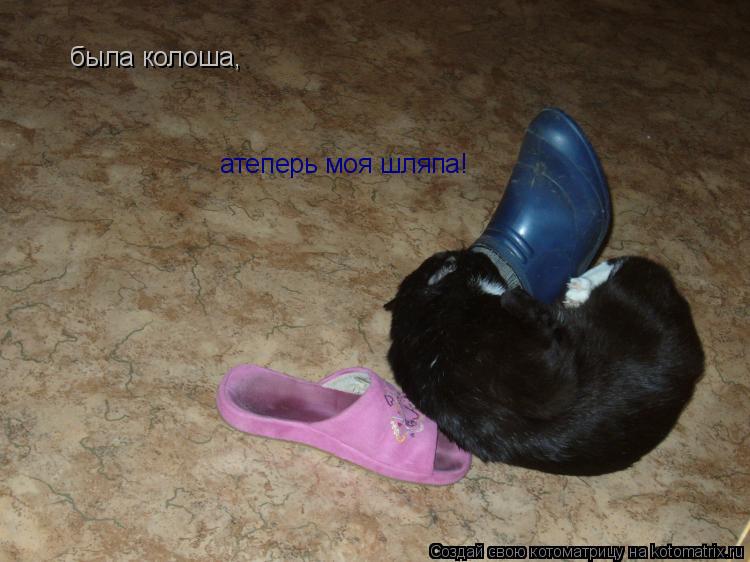 Котоматрица: была колоша, атеперь моя шляпа!