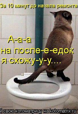 За 10 минут до начала ремонта А-а-а на после-е-едок я схожу-у-у....... Котоматрица: За 10 минут до начала ремонта А-а-а на после-е-едок я схожу-у-у....