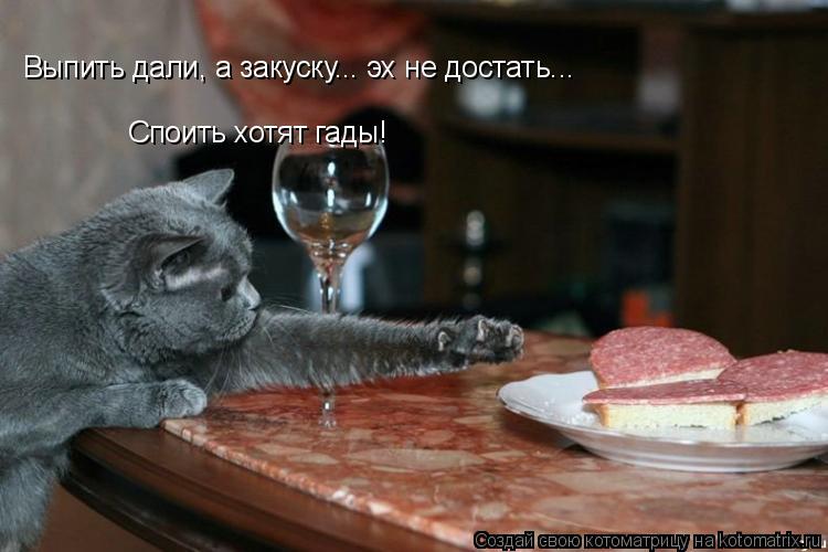 Выпить дали, а закуску... эх не достать Выпить дали, а закуску... эх не достать... Споить хотят гады!... Котоматрица: Выпить дали, а закуску... эх не достать Выпить дали, а закуску... эх не достать... Споить хотят гады!