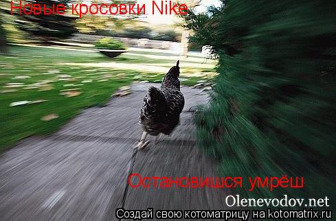 Новые кросовки Nike Остановишся умрёш... Котоматрица: Новые кросовки Nike Остановишся умрёш