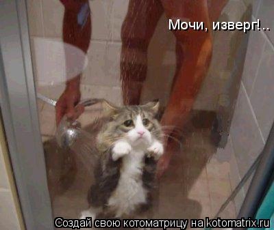 Мочи, изверг!..... Котоматрица: Мочи, изверг!..