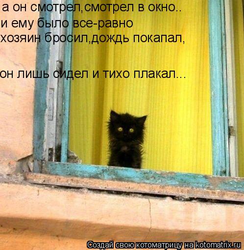 а он смотрел,смотрел в окно.. и ему было все-равно он лишь сидел и тихо плакал... хозяин бросил,дождь... Котоматрица: а он смотрел,смотрел в окно.. и ему было все-равно он лишь сидел и тихо плакал... хозяин бросил,дождь покапал,