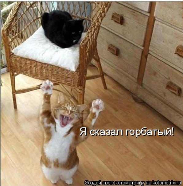 Я сказал горбатый!... Котоматрица: Я сказал горбатый!
