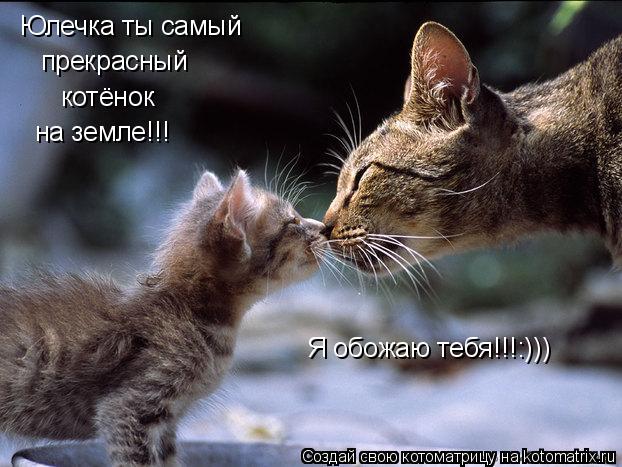 Юлечка ты самый прекрасный котёнок на земле!!! Я обожаю тебя!!!:)))... Котоматрица: Юлечка ты самый прекрасный котёнок на земле!!! Я обожаю тебя!!!:)))