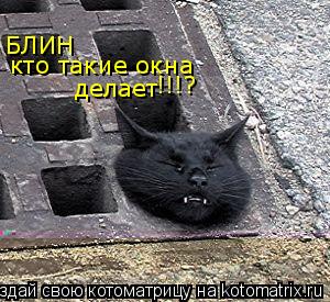 Котоматрица: БЛИН кто такие окна делает !!!?