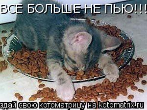 ВСЕ БОЛЬШЕ НЕ ПЬЮ!!!!!!!!!... Котоматрица: ВСЕ БОЛЬШЕ НЕ ПЬЮ!!!!!!!!!
