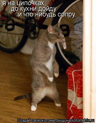 я на ципочках, до кухни дойду и что нибудь сопру.... Котоматрица: я на ципочках, до кухни дойду и что нибудь сопру.