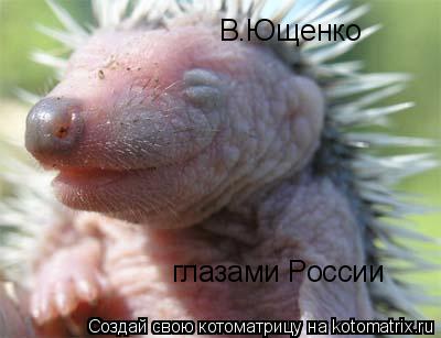 Котоматрица: В.Ющенко глазами России