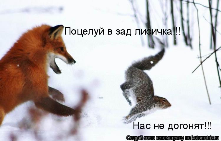 Поцелуй в зад лисичка!!! Нас не догонят!!!... Котоматрица: Поцелуй в зад лисичка!!! Нас не догонят!!!