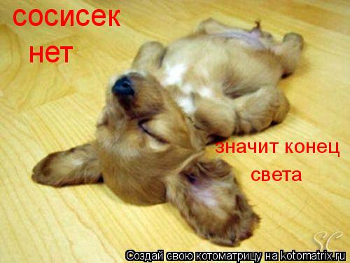 сосисек нет значит конец света... Котоматрица: сосисек нет значит конец света