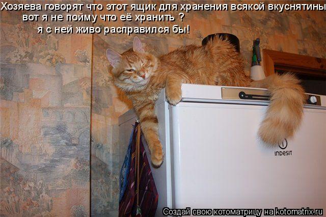 Хозяева говорят что этот ящик для хранения всякой вкуснятины вот я не пойму что её хранить ? я с ней ... Котоматрица: Хозяева говорят что этот ящик для хранения всякой вкуснятины вот я не пойму что её хранить ? я с ней живо расправился бы!