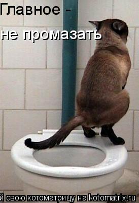 Главное - не промазать... Котоматрица: Главное - не промазать