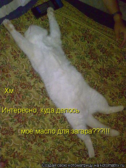 Интересно, куда делось моё масло для загара???!!! Хм...... Котоматрица: Интересно, куда делось моё масло для загара???!!! Хм...