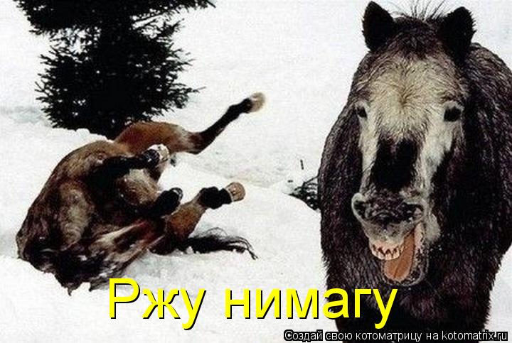 Ржу нимагу... Котоматрица: Ржу нимагу