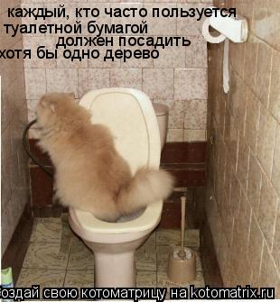 каждый, кто часто пользуется туалетной бумагой должен посадить хотя бы одно дерево... Котоматрица: каждый, кто часто пользуется туалетной бумагой должен посадить хотя бы одно дерево