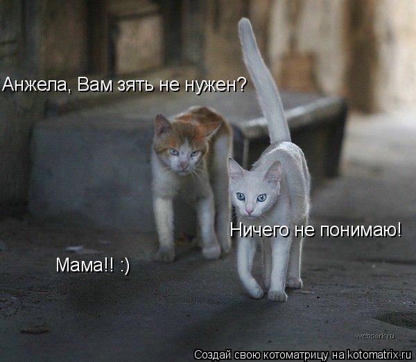 Анжела, Вам зять не нужен? Ничего не понимаю! Мама!! :)... Котоматрица: Анжела, Вам зять не нужен? Ничего не понимаю! Мама!! :)
